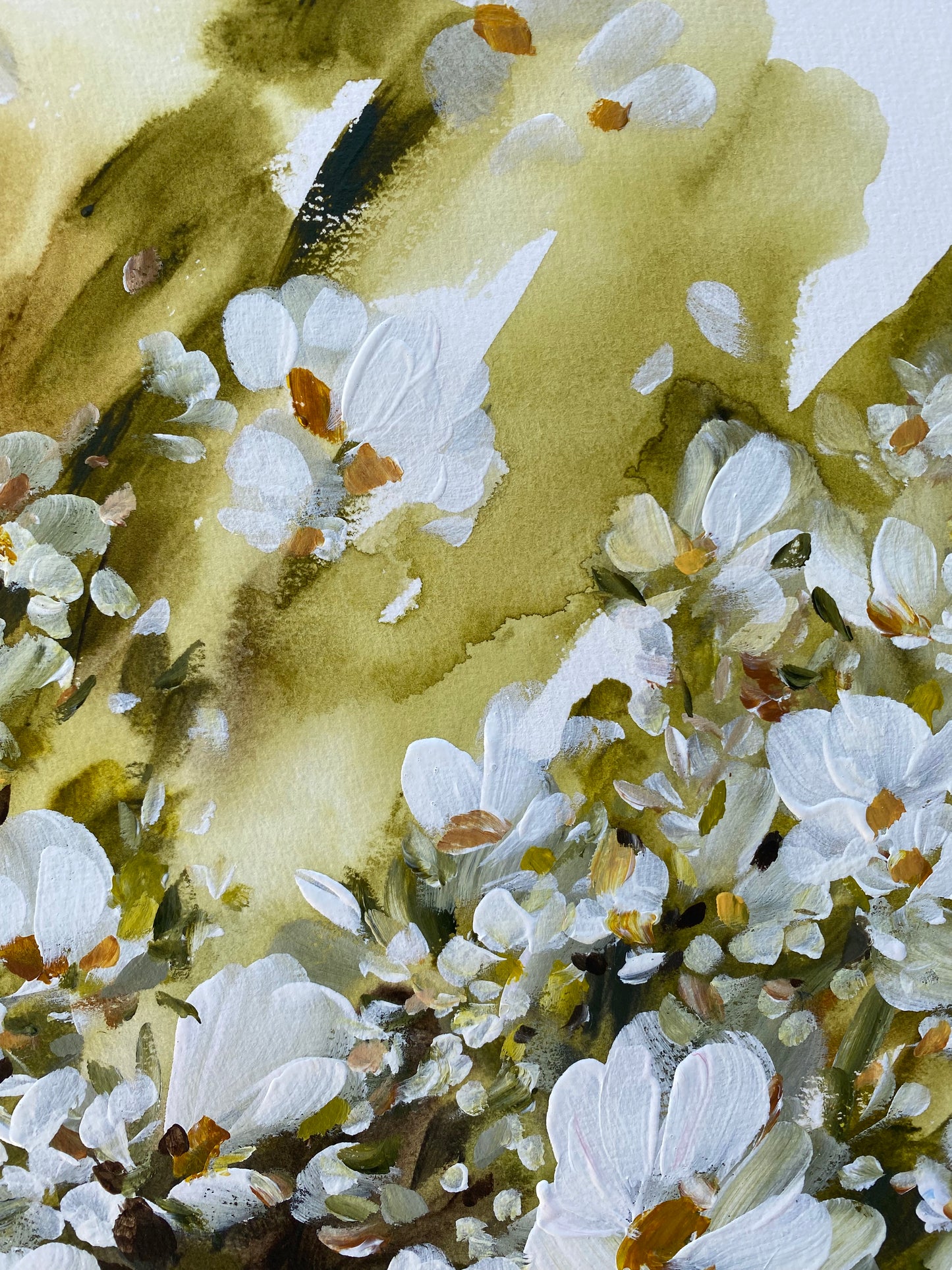 ' Light Sings '
