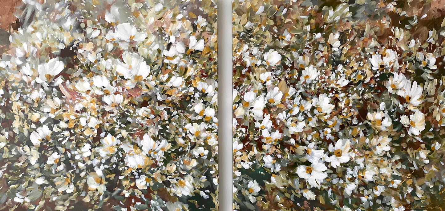 ‘ Timeless Dream ‘