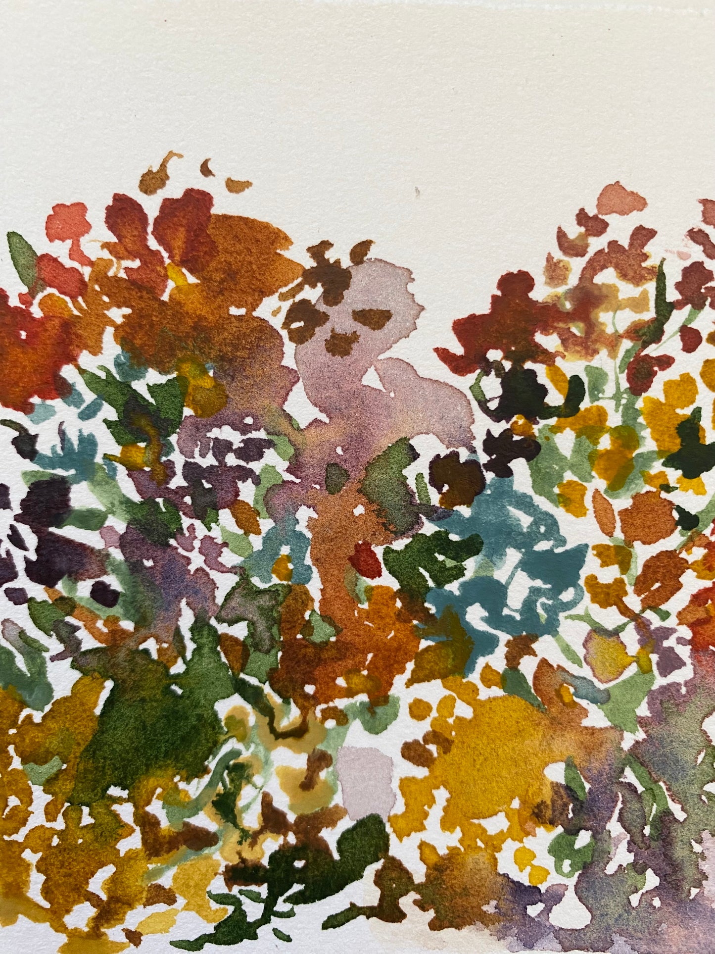 Floral Coral Polaroid