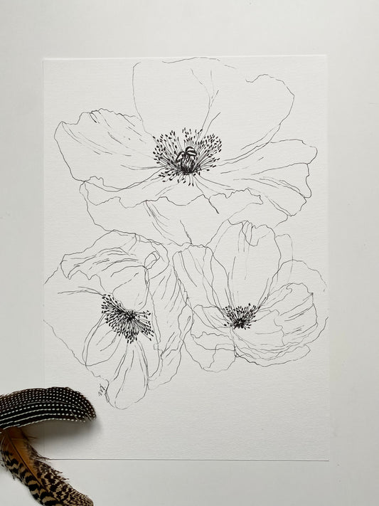 Poppy 2