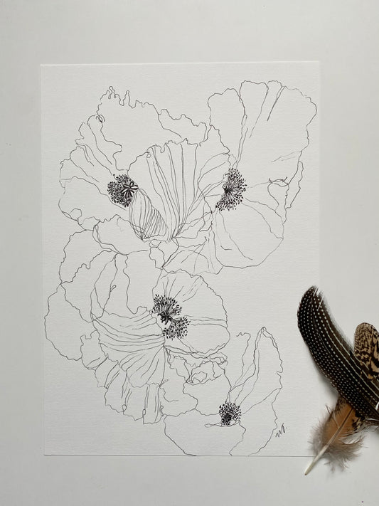 Poppy 1