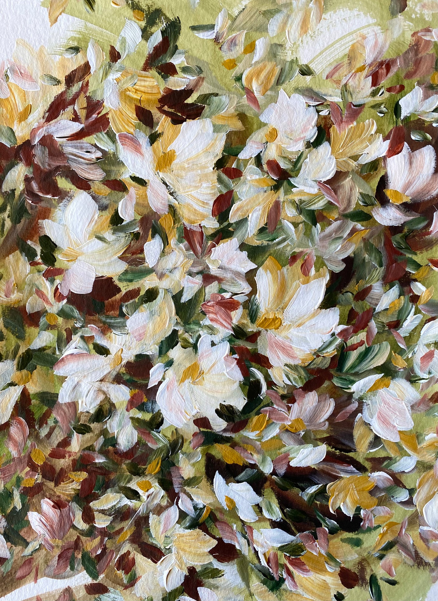 Magnolia Morning 1