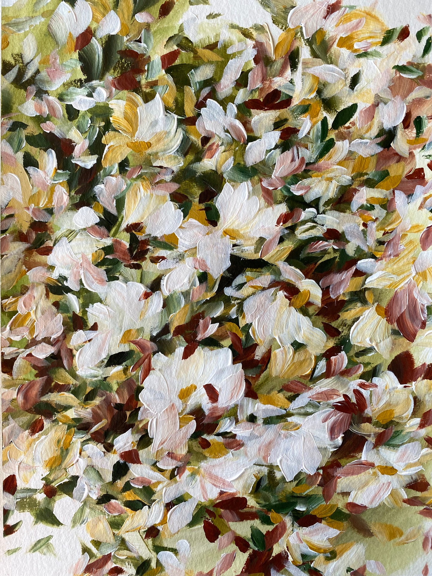 Magnolia Morning 2