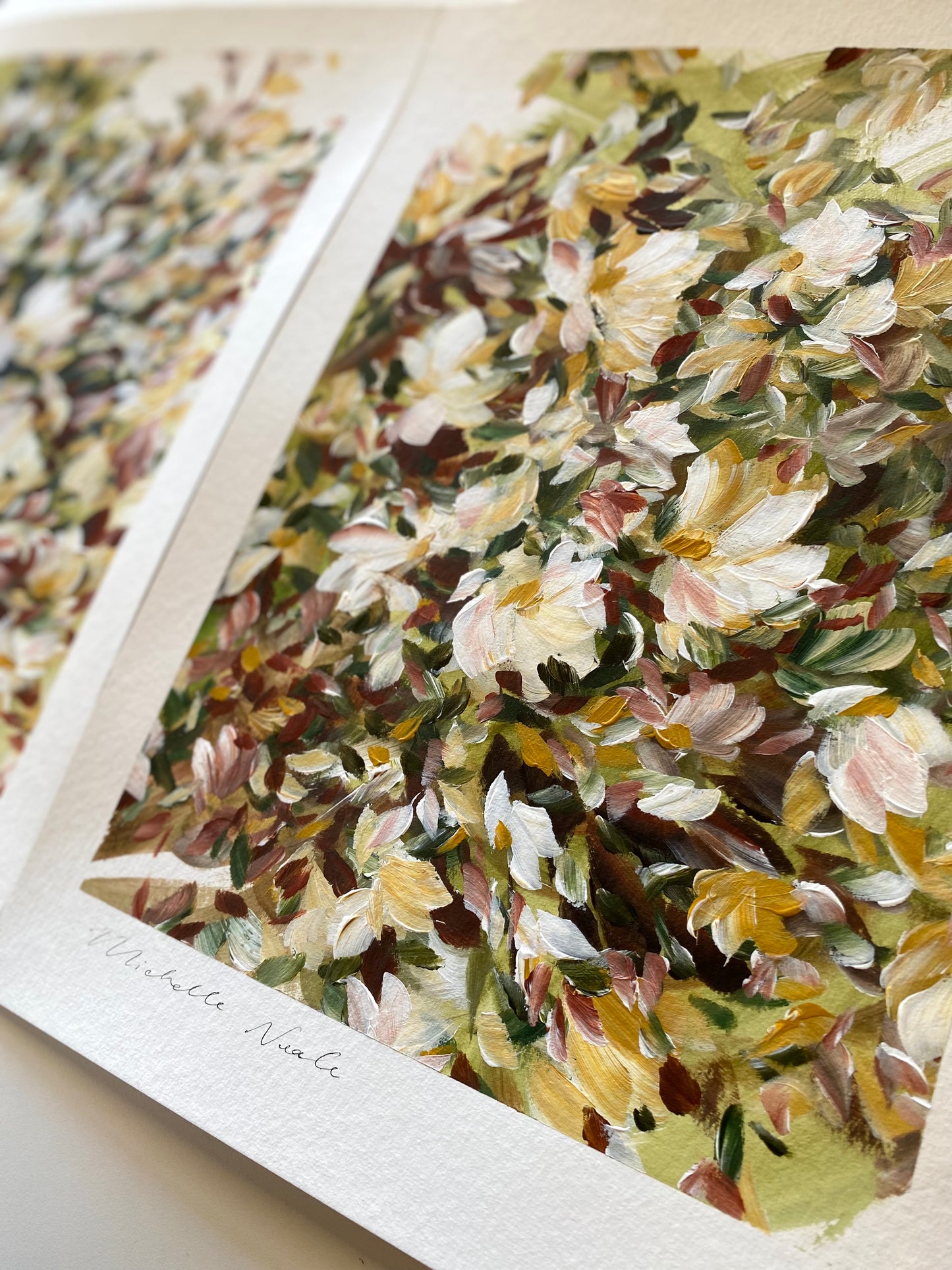Magnolia Morning 1
